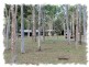 Tamborine QLD 4270