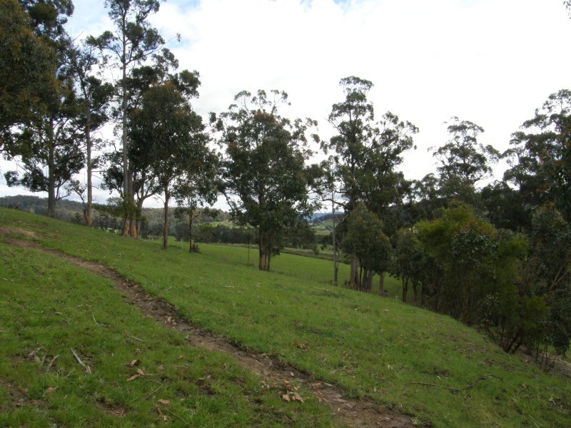7699 Channel Highway, Cygnet TAS 7112
