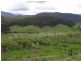 7699 Channel Highway, Cygnet TAS 7112