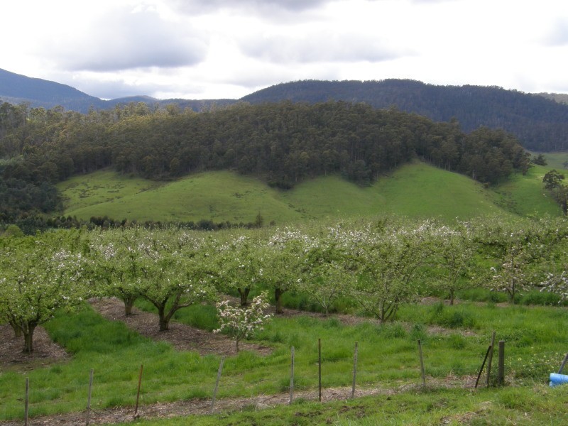 7699 Channel Highway, Cygnet TAS 7112