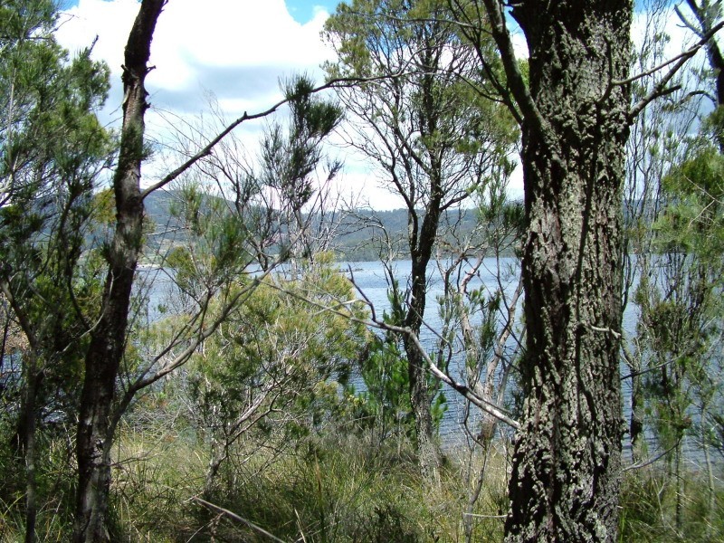 889a Cygnet Coast Road, Wattle Grove TAS 7109