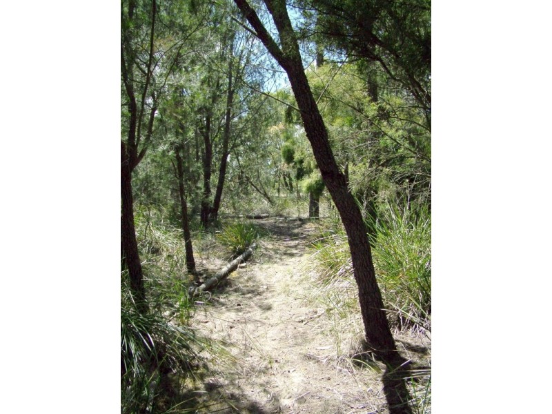 889a Cygnet Coast Road, Wattle Grove TAS 7109