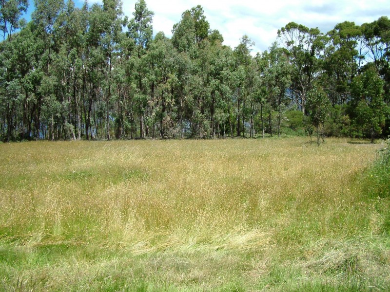 Petcheys Bay TAS 7109