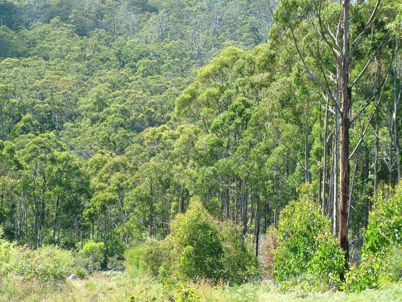 Petcheys Bay TAS 7109