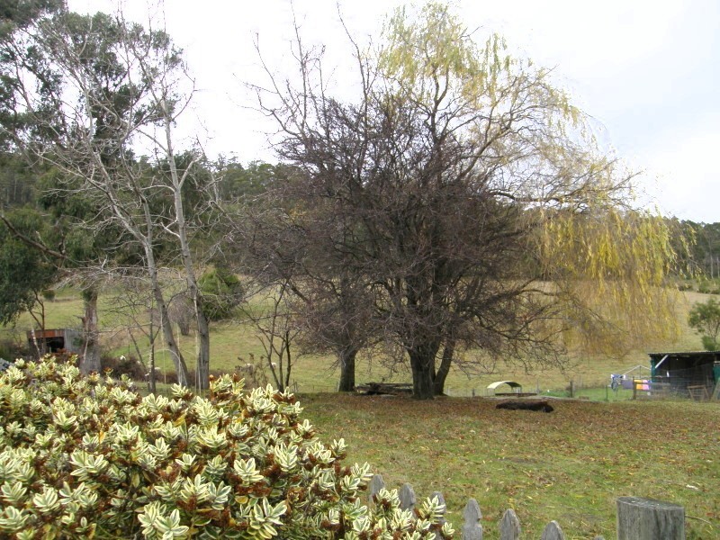 Gardners Bay TAS 7112