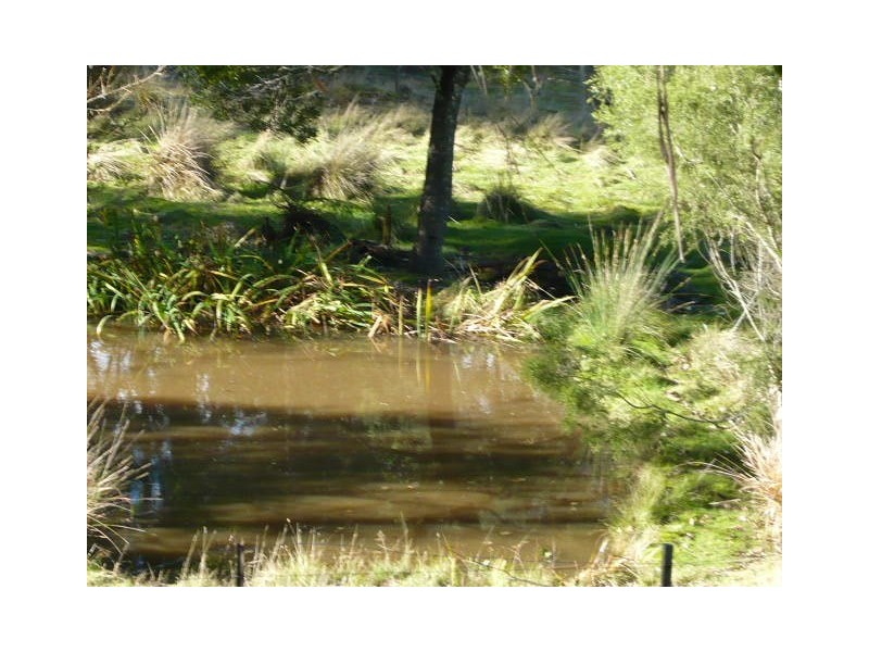 97 Smiths Road, Nicholls Rivulet TAS 7112