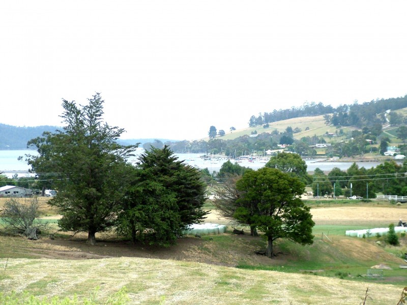 19 Norris Street, Cygnet TAS 7112