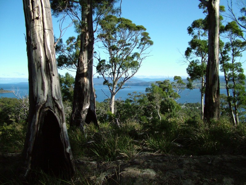 82 Scarrs Road, Charlotte Cove TAS 7112