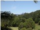 1255 Urliup Road, Murwillumbah NSW 2484