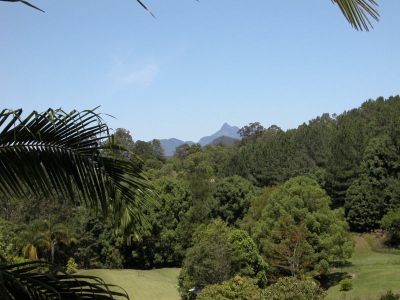 1255 Urliup Road, Murwillumbah NSW 2484
