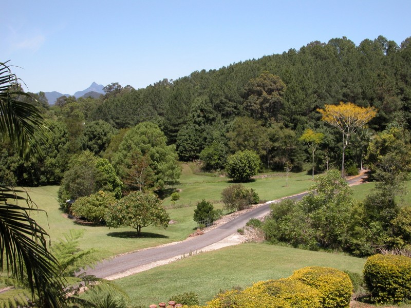 1255 Urliup Road, Murwillumbah NSW 2484