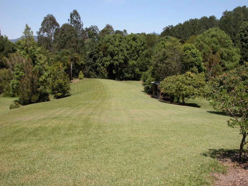 1255 Urliup Road, Murwillumbah NSW 2484