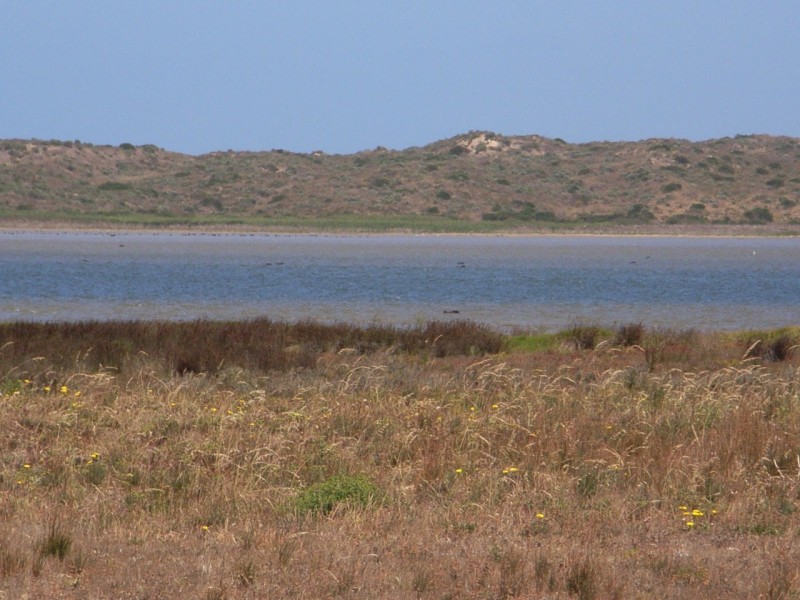 Lot 810 (33) Arcadia Avenue, Hindmarsh Island SA 5214