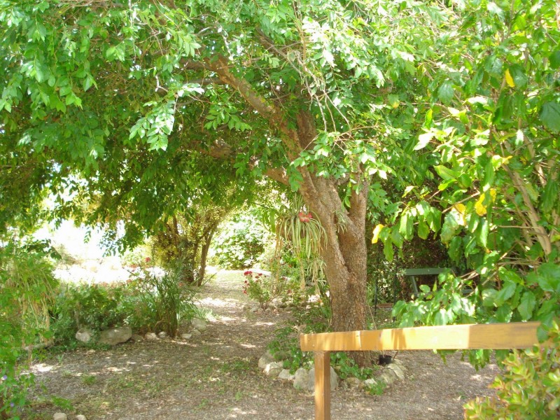 13 Sexton Street, Goolwa Beach SA 5214