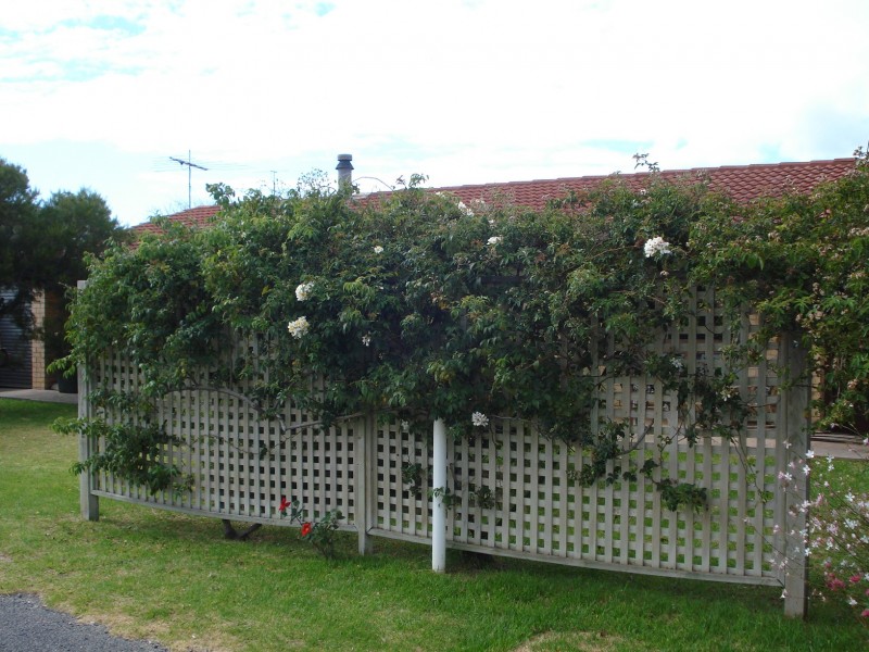 5 Sidmouth Street, Goolwa SA 5214