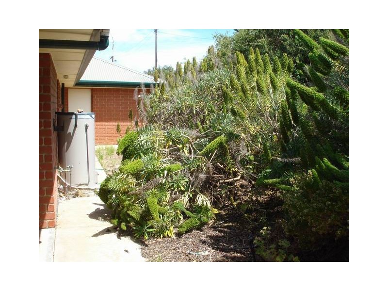 24 Bradford Road, Goolwa Beach SA 5214