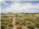 Lot 18 Dragonfly Boulevard, Hayborough SA 5211