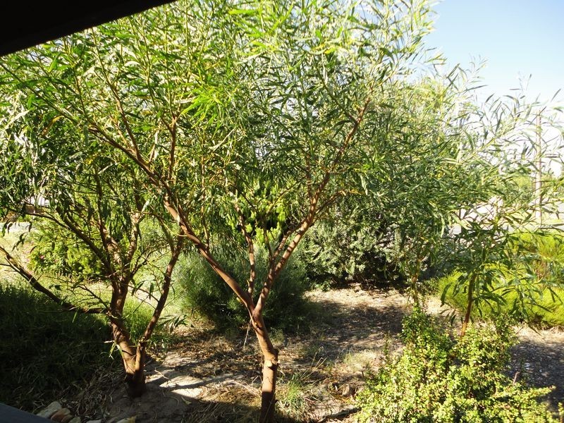 93 Bradford Road, Goolwa Beach SA 5214