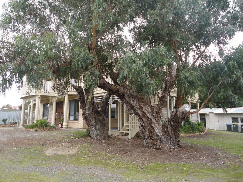 10 Quebec Street, Goolwa North SA 5214