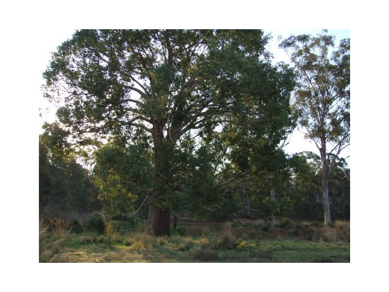 457 Ten Chain Road, Proston QLD 4613