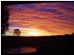 39 Reece Court, Wondai QLD 4606