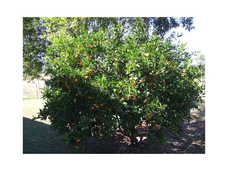 755 Mt McEuen Road, Wondai QLD 4606