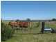 1499 Gayndah Road, Murgon QLD 4605