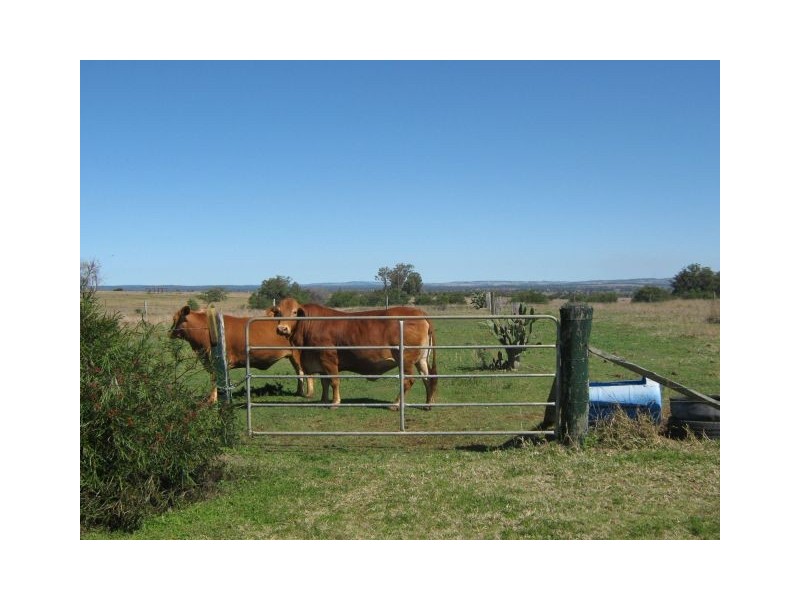 1499 Gayndah Road, Murgon QLD 4605