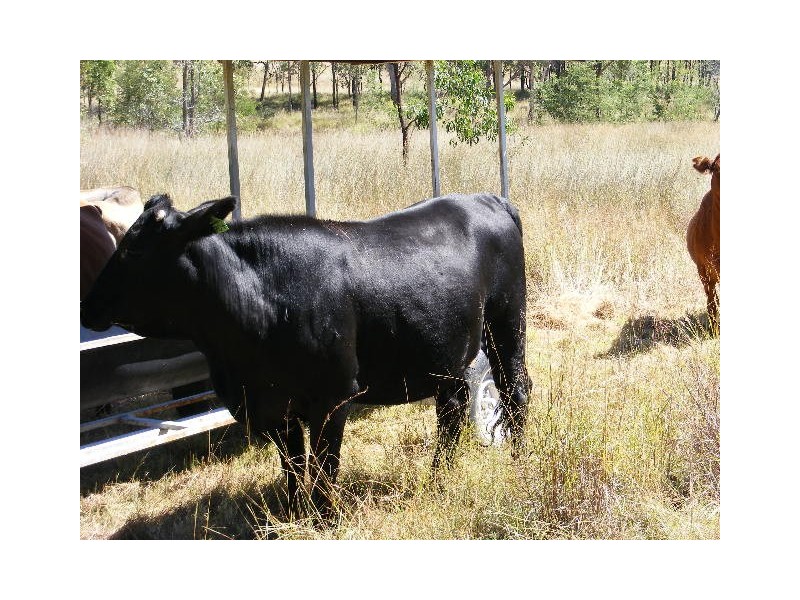 546 Wilsons Road, Kingaroy QLD 4610