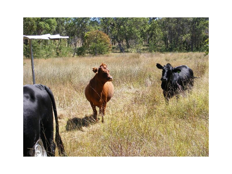 546 Wilsons Road, Kingaroy QLD 4610