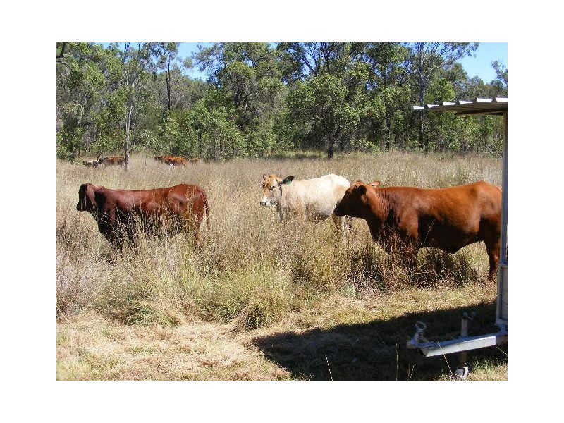 546 Wilsons Road, Kingaroy QLD 4610