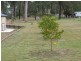 4 Hustons Road, Wondai QLD 4606