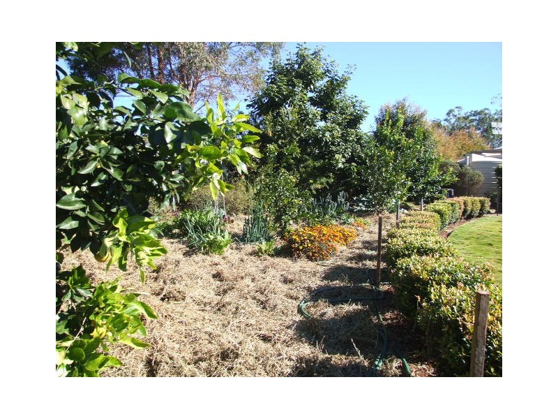 10 Grant Crescent, Wondai QLD 4606