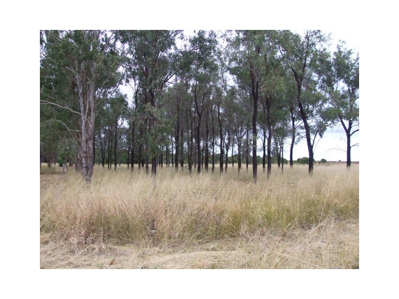 Lot 1 Tingoora-Chelmsford Road, Chelmsford QLD 4606