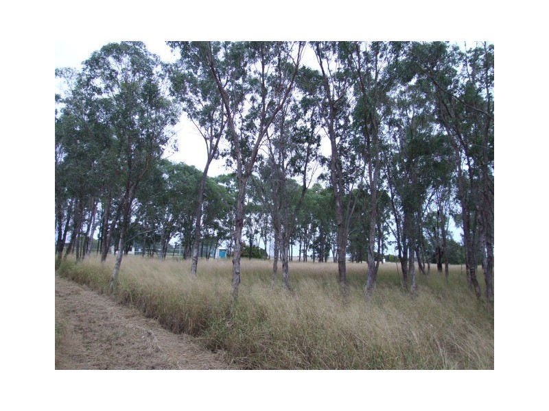 Lot 1 Tingoora-Chelmsford Road, Chelmsford QLD 4606