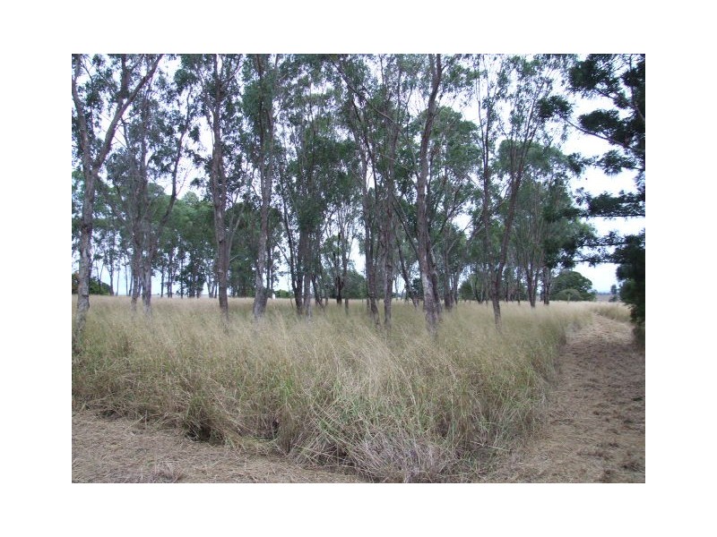 Lot 1 Tingoora-Chelmsford Road, Chelmsford QLD 4606