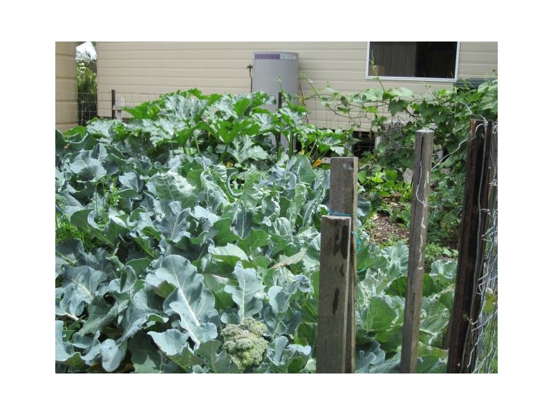 39 Reece Court, Wondai QLD 4606