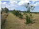 Lot 85 Butler Drive, Proston QLD 4613
