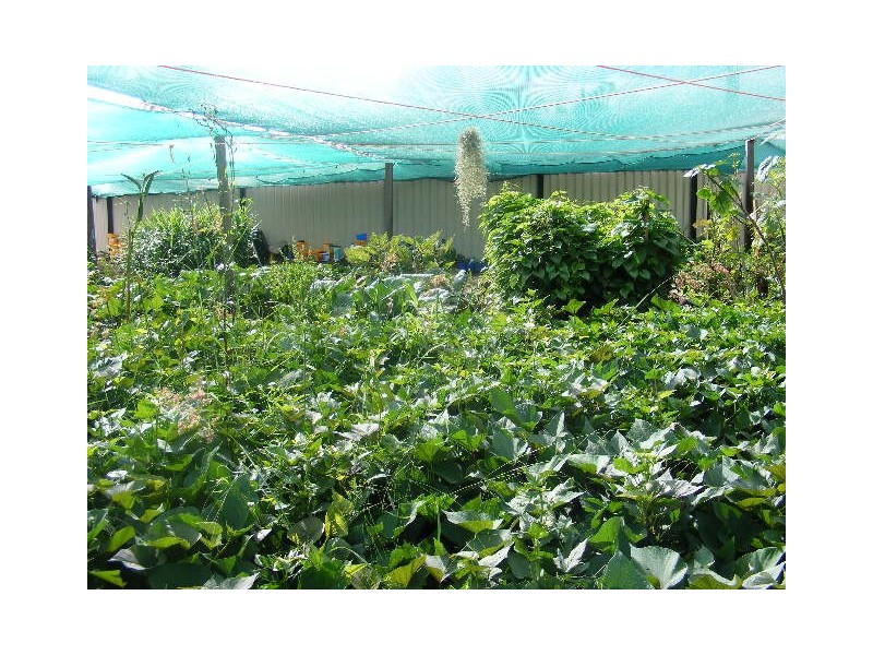 Lot 69 Hines Road, Wondai QLD 4606