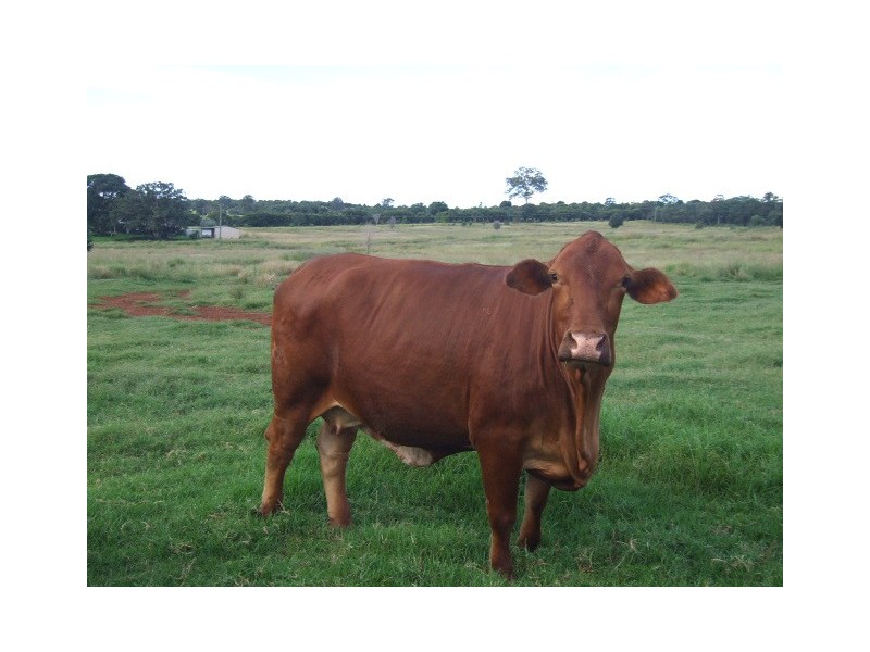 213 Stalworth Road, Stalworth QLD 4613