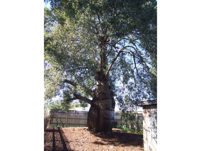 123a Haly Street, Wondai QLD 4606