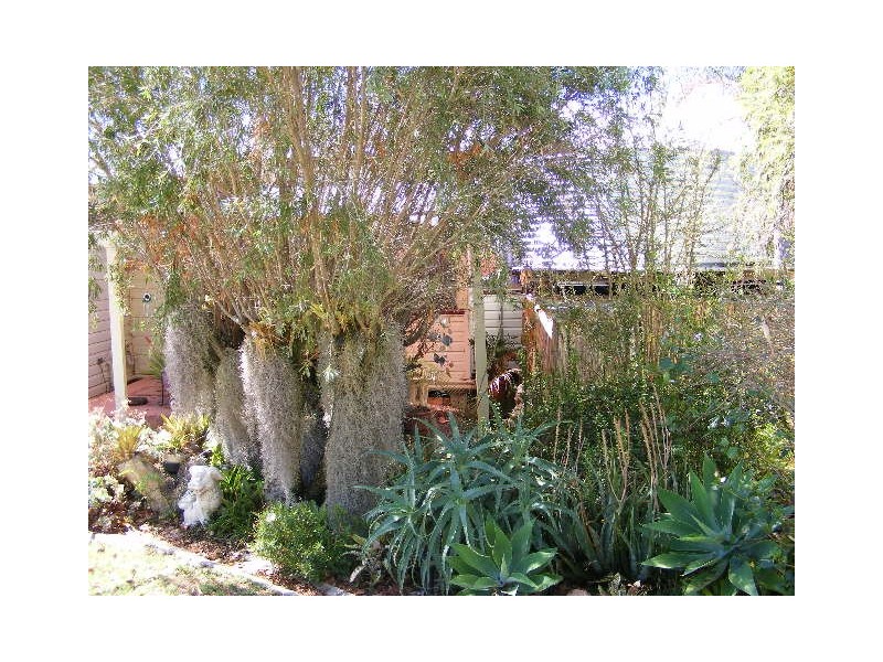 13 Collins Street, Proston QLD 4613