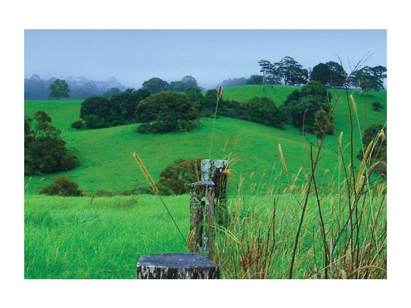 Lot 11 Greenfields Crt (via Tallowwood St), Maleny QLD 4552