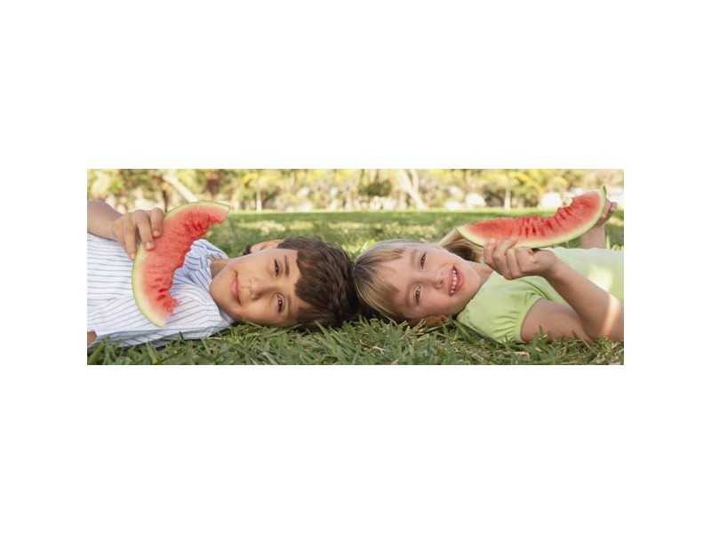 Lot 3617 Gainsborough Crescent, Peregian Springs QLD 4573