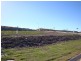 Lot 50 Grasstree Crescent, Gladstone QLD 4680