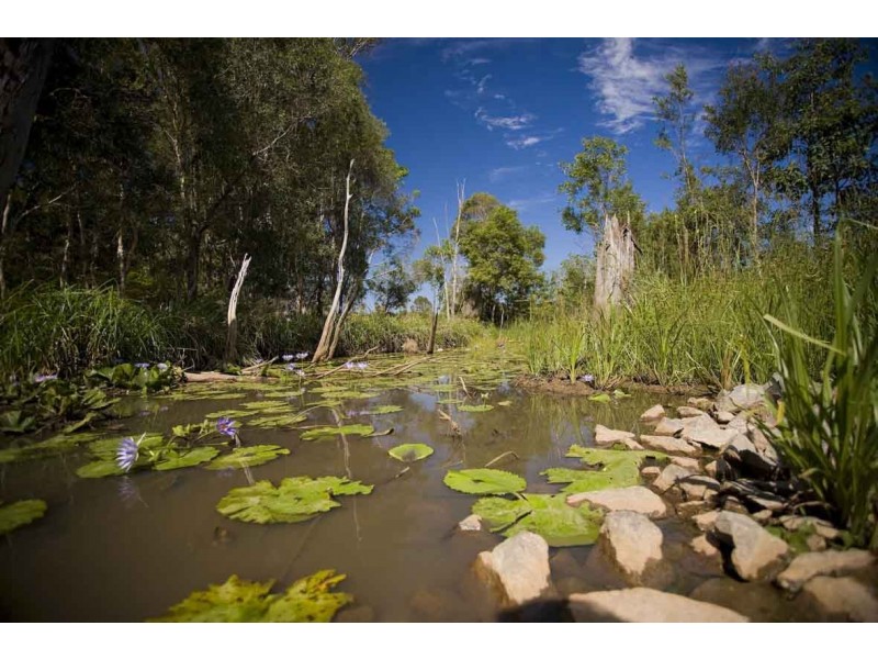 Lot 20 Dunbar Court, Cooroy QLD 4563