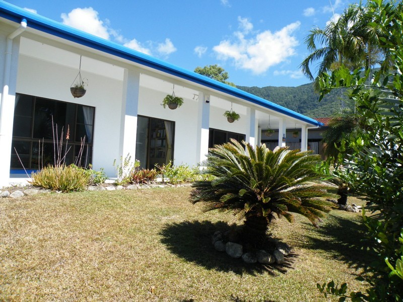 63 Terebra Street, Palm Cove QLD 4879