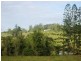 77 Mullins Road, Millaa Millaa QLD 4886