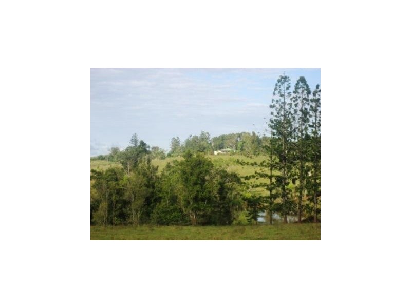 77 Mullins Road, Millaa Millaa QLD 4886