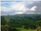 77 Mullins Road, Millaa Millaa QLD 4886